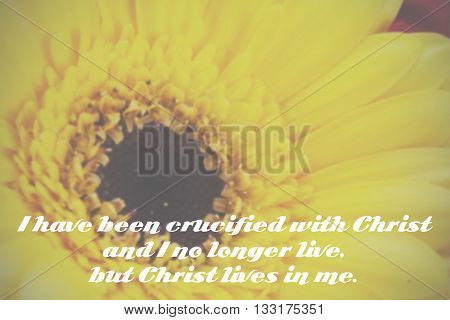 Inspirational Verse From The Bible On A Blurred Background