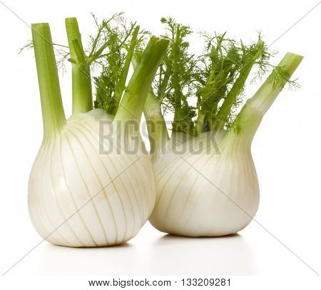 Fresh fennel bulb isolated on white background close up