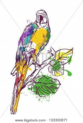 Vector Watercolor Illustration Of Tropical Ara Parrot Sitting On Green Tree. Isolated Colorful Parro