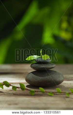 close up view of gray stones and leaf on color back.