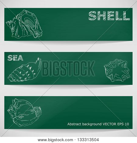 Seashells hand-drawn in a sketchy style on a blackboard. Vector background.
