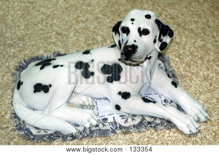 Cane dalmata