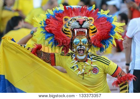 Man In A Tiger Costume