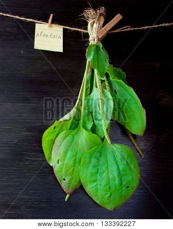 Plantain leaves on a black wooden background