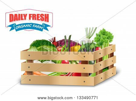 Illustration of Fresh vegetable in wooden crates with blue ribbon on a white background