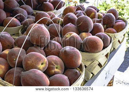 Peaches in baskets on display at a farmers market