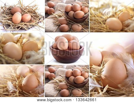 collage of eggs in the straw bowl in a linen sack ...