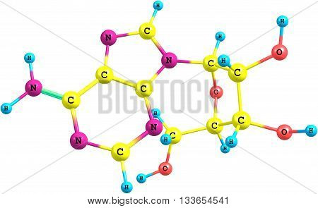 Adenosine is a purine nucleoside composed of a molecule of adenine attached to a ribose sugar molecule moiety. 3d illustration