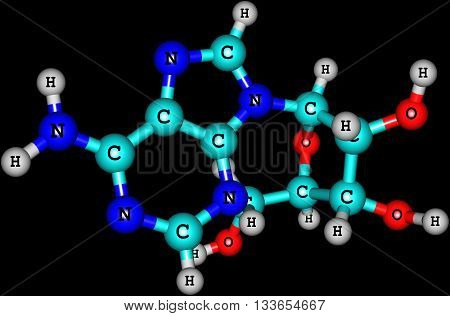 Adenosine is a purine nucleoside composed of a molecule of adenine attached to a ribose sugar molecule moiety. 3d illustration