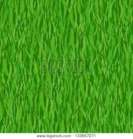 Green grass seamless pattern background. Vector Illustration