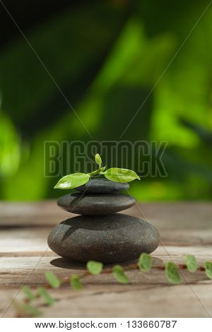 close up view of gray stones and leaf on color back.