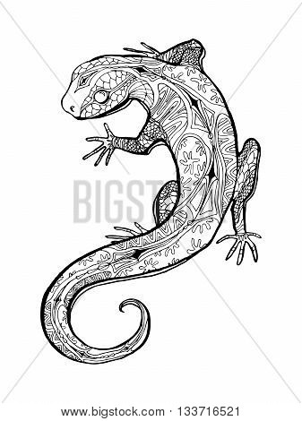 Lizard. Tropical illustration for adult coloring book. Hand drawn line art.