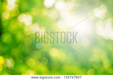 color tone blurred nature background. light and the sky to make it shone through the leaves. Pastel color tones.multicolored white hearts .vintage natural colorful.sun warm glowball summer.