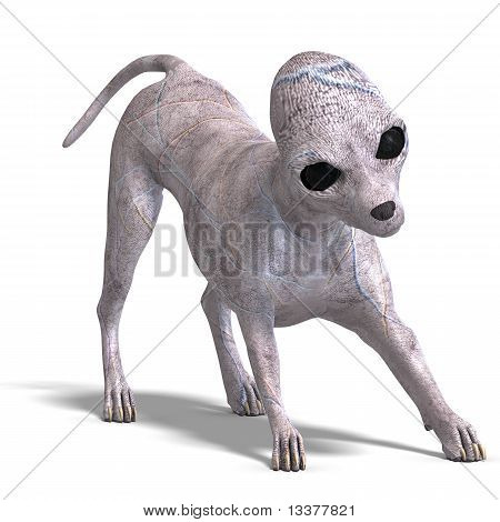 konstigt främmande hund från area 51