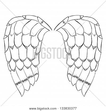 Original illustration of vintage woodcut style eagle bird or angel wings