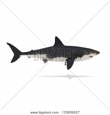 Side view of shark isolated on white 3d rendering