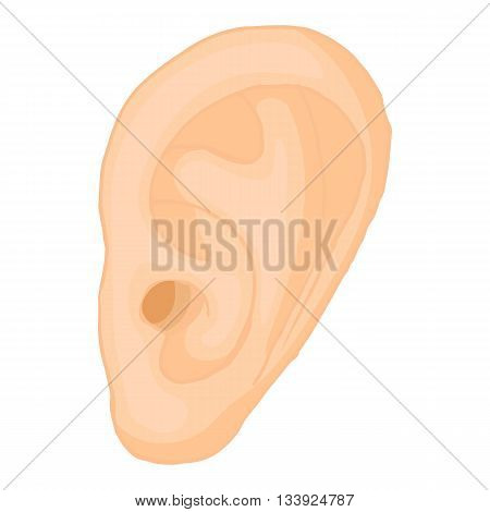 Human ear icon in cartoon style on a white background