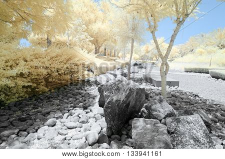 Infrared Image Of Trees And Shrubs In False Color