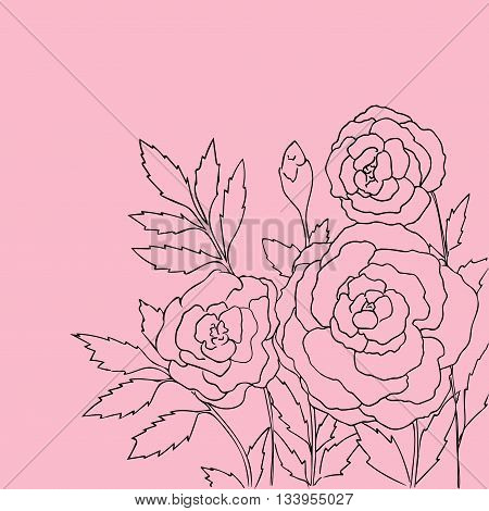 Beautiful roses isolated on pink background. Hand drawn vector illustration with flowers. P Retro floral card. Romantic delicate bouquet. Element for design. Contour lines and strokes.