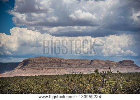 View of Grand Canyon West - Arizona USA