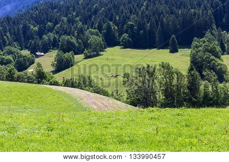 View On The Alps, Switzerland
