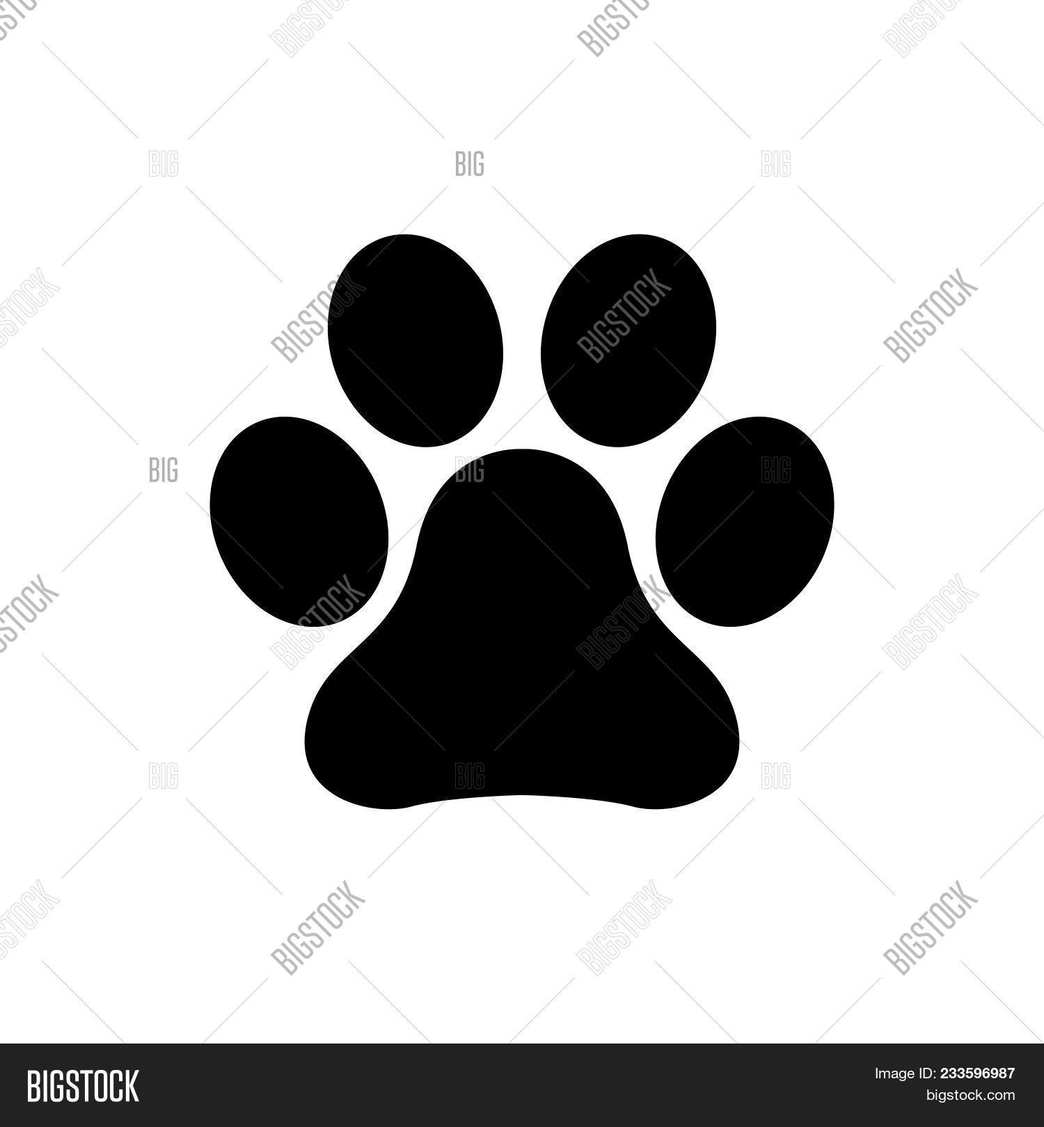 Paw Print vektor og foto (gratis prøveperiode) | Bigstock
