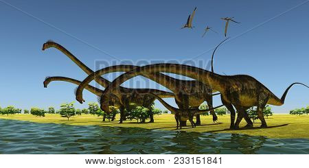 Jurassic Barosaurus Dinosaurs 3d Illustration - A Herd Of Barosaurus Dinosaurs Bend Their Long Necks