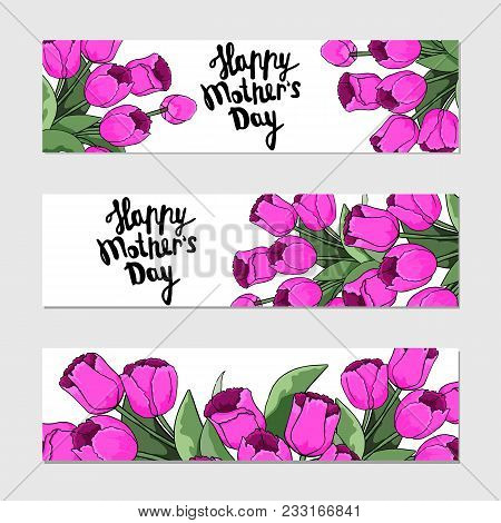Set Of Tulips Flowers . Vector Stock. Isolated White Background. Set Of Postcards For The Holiday Mo