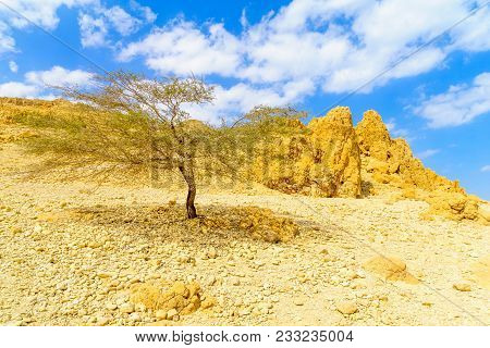 Landscape Of Desert Cliffs, In The Ein Gedi Nature Reserve, Judaean Desert, Southern Israel