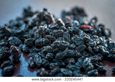Black Raisin Or Kali Kishmish Or Zante Currant In A White Plate On Wooden Surface In Dark Gothic Col