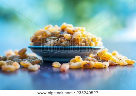 A Sweet Dried Fruit Golden Raisins Or Vitis Vinifera L. Var. Apyrena , Kishmish Or Zante Currant On 