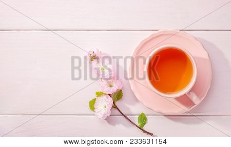 Cup of tea and blossoming Almond (Prunus triloba) branch on light pink wooden table and copy space for text.