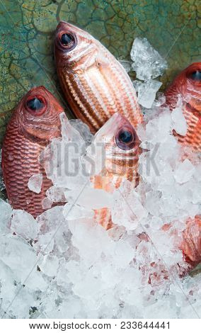 Red Fish From Fishery Market.