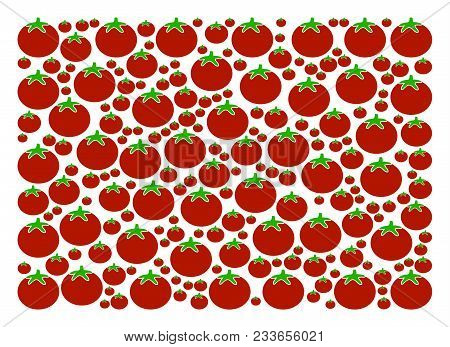 Filled Rectange Composition Of Tomato In Variable Sizes. Vector Tomato Objects Are Combined Into Fil