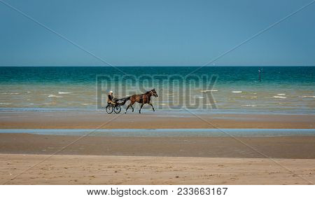 A Man Trotting A Horse In A Buggy On Utah Beach In Normandy France