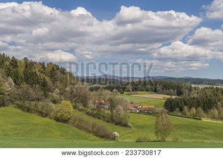 View To The Mountain Lusen With Green Meadow And A Small Forest In The Foreground