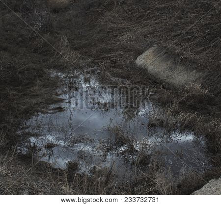 Steppe gully filled with water. Abstract nature background. Natural background. Gully.