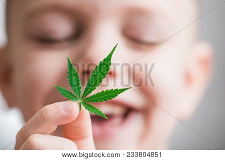 Smiling Kid Child Holding A Hemp Leaf. Concepts Of Using Marihuna For Medicinal Purposes For Childre