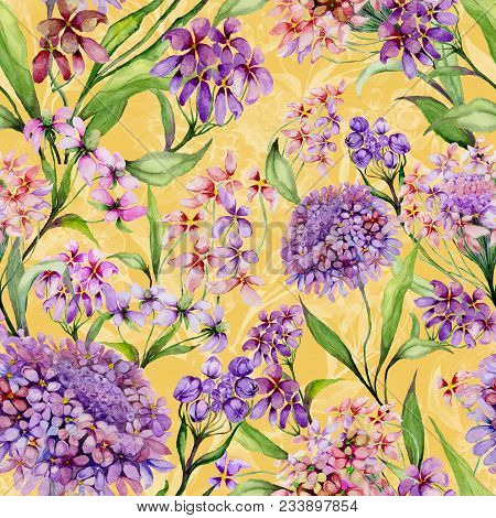Beautiful Iberis Flowers With Green Leaves On Yellow Background. Seamless Floral Pattern. Watercolor