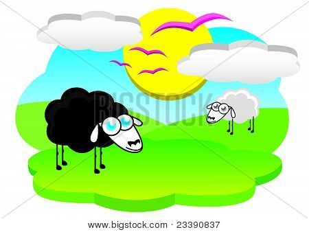 Happy Sheep