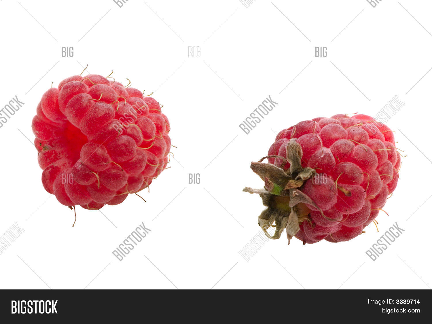 Image Preview