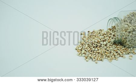 Job's Tears, Also Known As Adlay And Coix On White Background. Popular In Asian Cultures As A Food S