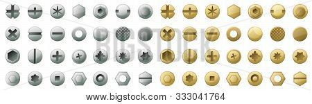 Head Of Fastener Vector Cartoon Set Icon.isolated Icon Head Fastener Of Bolt. Vector Illustration Me