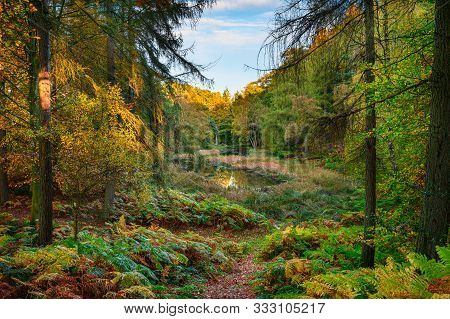 The Tarn In Morralee Wood At Allen Banks, And Staward Gorge In The English County Of Northumberland 