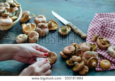 The Woman Is Cleaning Mushrooms In The Kitchen.