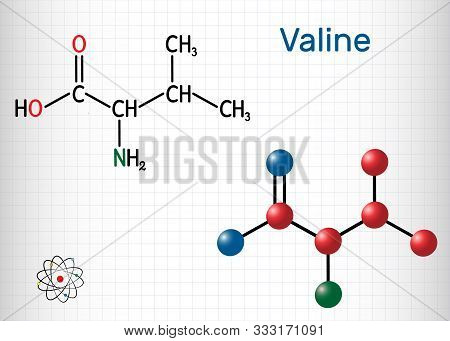 Valine, Val Molecule, Is -amino Acid . It Is Used In The Biosynthesis Of Proteins. Sheet Of Paper In