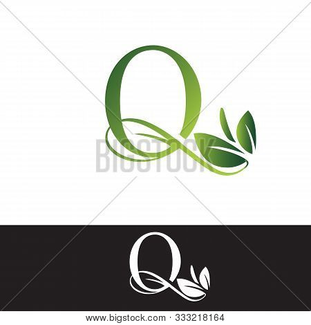 Luxury Tropical Nature Leaves Letter Q Logo.
