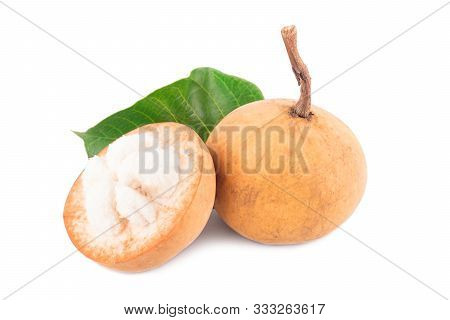 Ripe Santol Or Sentul Fruit Is Seasonal Fruit Of Thailand On White Background Planting Agriculture F