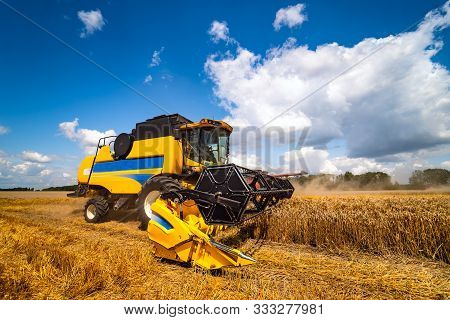 Special Machine Harvesting Crop In Fields, Agricultural Technic In Action. Ripe Harvest Concept. Cro