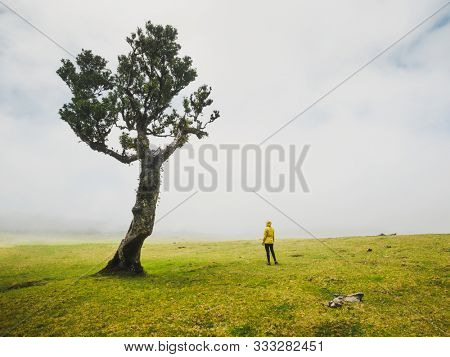 Traveller woman feeling the power of the nature at an ancient forest